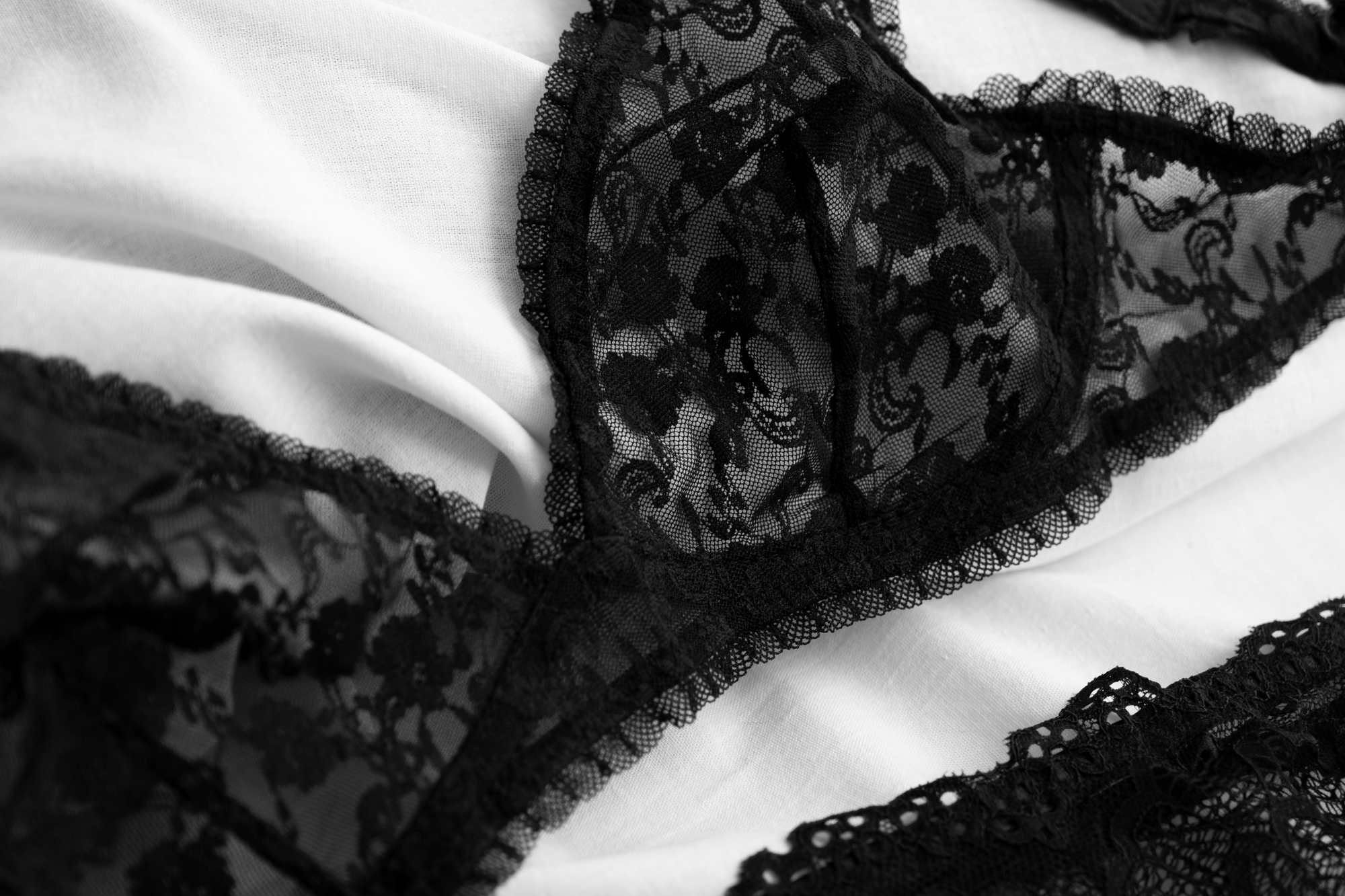 female lingerie arrangement still life 2